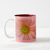 Pink African Daisy Tasse (Links)
