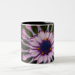 Pink African Daisy Zweifarbige Tasse