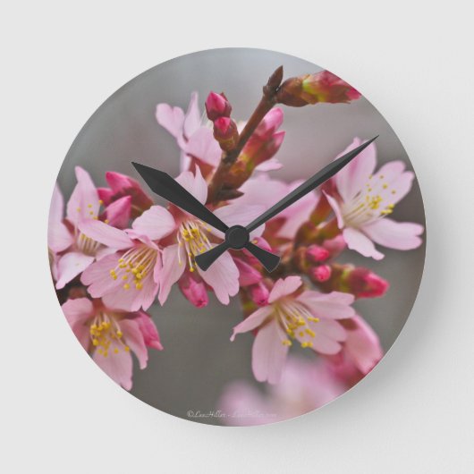 Pink Against A Gray Sky Japanese Cherry Blossoms Runde Wanduhr (Vorderseite)
