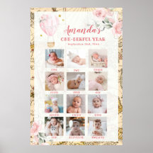 Pink Air Ballon Erstes Jahr Foto Collage Post