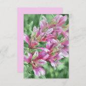 Pink Alstroemeria Blume Blumenmuster Karte (Vorne/Hinten)