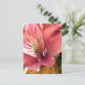 Pink Alstroemeria Blume Lilies Blume Foto Postkarte (Stehend Vorderseite)