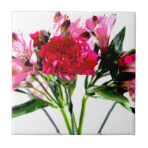 Pink Alstroemeria Wasserfarben