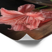 Pink Amaryllis Blume Art Print Poster (Ecke)
