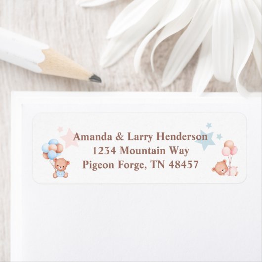 Pink an Blue Teddy Bear Rücksendeadresse (Insitu)