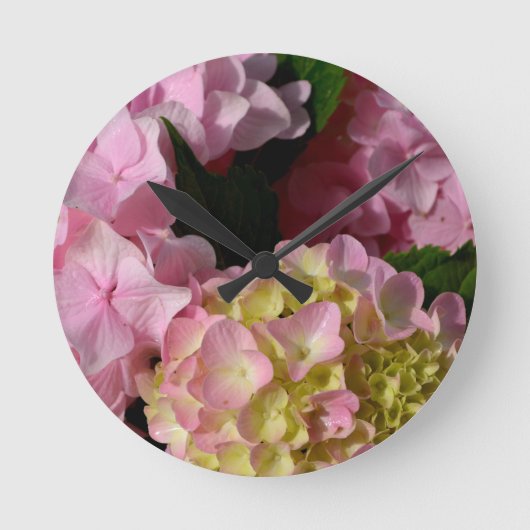 Pink and Cream Hydrangeas Runde Wanduhr (Vorderseite)