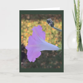 Pink and Gold Sparkle Morning Glory Blank Karte