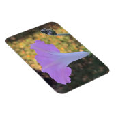 Pink and Gold Sparkle Morning Glory  Magnet (Rechte Seite)