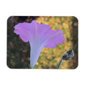 Pink and Gold Sparkle Morning Glory  Magnet (Horizontal)