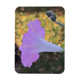 Pink and Gold Sparkle Morning Glory Magnet