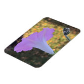 Pink and Gold Sparkle Morning Glory  Magnet (Linke Seite)