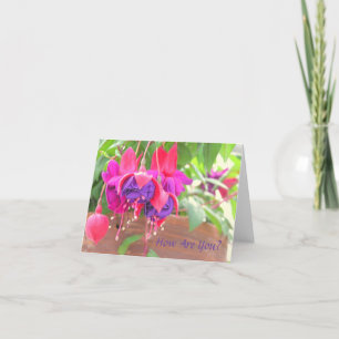 PINK AND PURPLE FUCHSIA CASCADING FROM CLAY POT KARTE