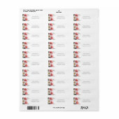 Pink and White Daisies Return Address Label (Vorne)