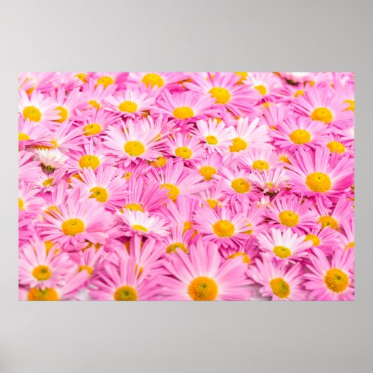 Pink and yellow flowers background  poster (Vorne)