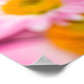 Pink and yellow flowers background  poster (Ecke)