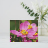 Pink Anemone Blume Postkarte (Stehend Vorderseite)