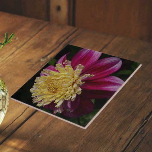 Pink Anemone Dahlia Bloom Floral Fliese