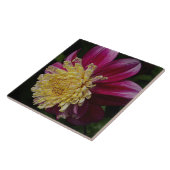 Pink Anemone Dahlia Bloom Floral Fliese (Seite)