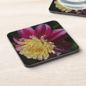 Pink Anemone Dahlia Bloom Floral Getränkeuntersetzer (Linke Seite)