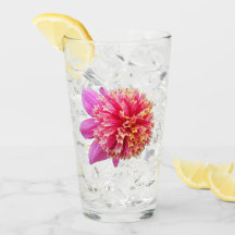 Pink Anemone Dahlia Bloom Floral