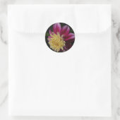 Pink Anemone Dahlia Bloom Floral Runder Aufkleber (Tasche)