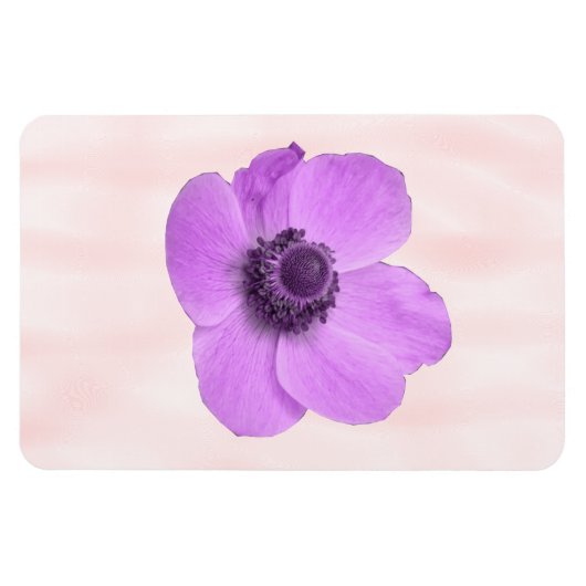 Pink Anemone Premium Magnet (Horizontal)