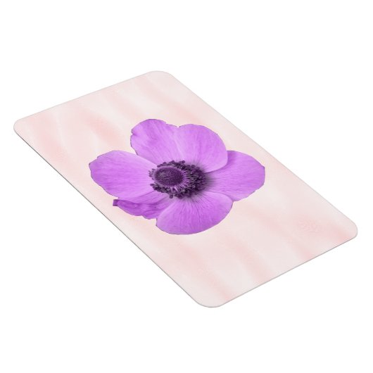 Pink Anemone Premium Magnet (Rechte Seite)