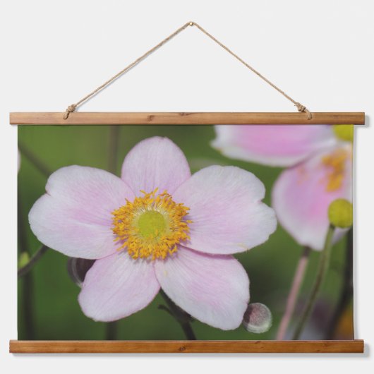 Pink Anemone Wandteppich Mit Holzrahmen (Vorne)