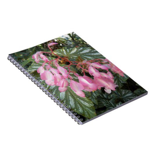 Pink Angel Wing Begonia Floral Notizblock (Rechte Seite)