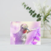 Pink Anna's Hummingbird fliegt über violette Blume Postkarte (Stehend Vorderseite)