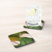 Pink Anthurium Blume Kauai Hawaii Getränkeuntersetzer (Rechte Seite)