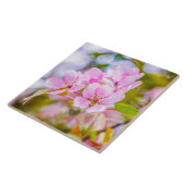 Pink Apple Blossom Fliese (Seite)