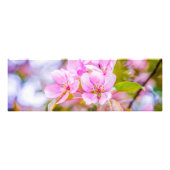 Pink Apple Blossom Fotodruck (Vorne)