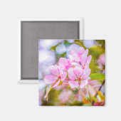 Pink Apple Blossom Magnet (Vorderseite/Rückseite)