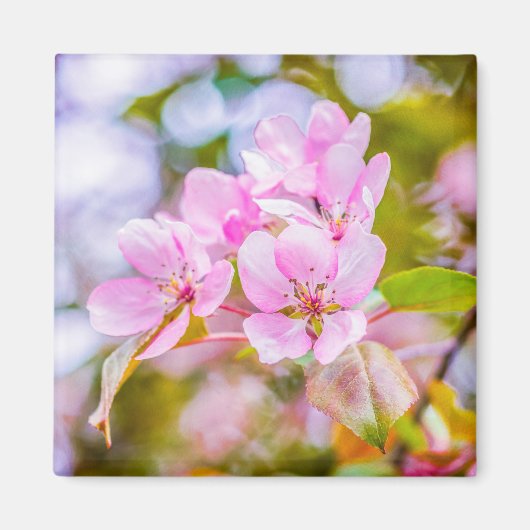 Pink Apple Blossom Magnet (Vorne)