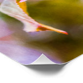 Pink Apple Blossom Poster (Ecke)