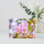 Pink Apple Blossom Postkarte (Stehend Vorderseite)