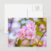 Pink Apple Blossom Postkarte (Vorne/Hinten)