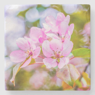 Pink Apple Blossom Steinuntersetzer