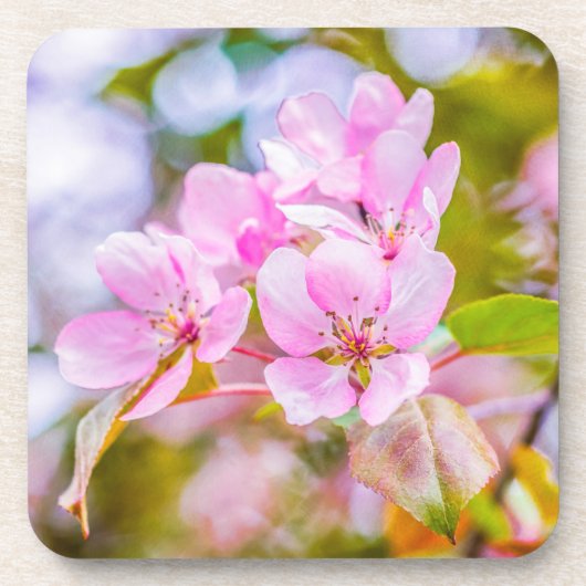 Pink Apple Blossom Untersetzer (Vorderseite)