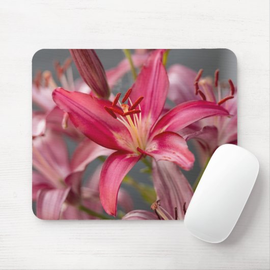 Pink Asiatic Lily, Botanical Flower Photo Mousepad (Mit Mouse)