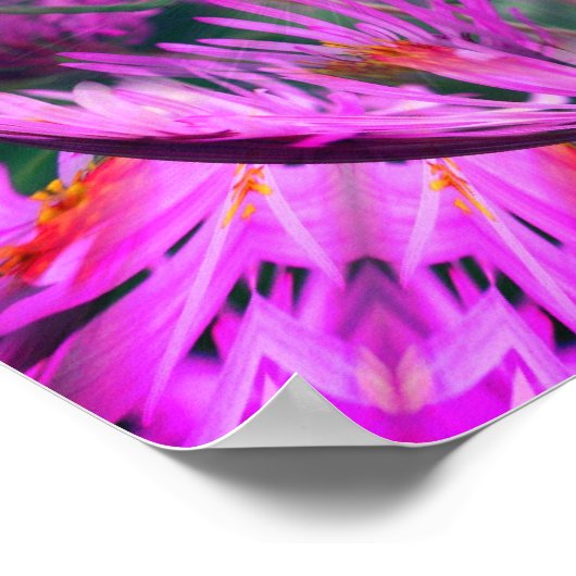 Pink Aster Blume Energie Abstrakte Kunst Poster (Ecke)