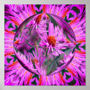 Pink Aster Blume Energie Abstrakte Kunst Poster