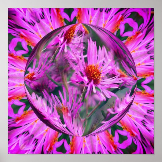 Pink Aster Blume Energie Abstrakte Kunst Poster (Vorne)