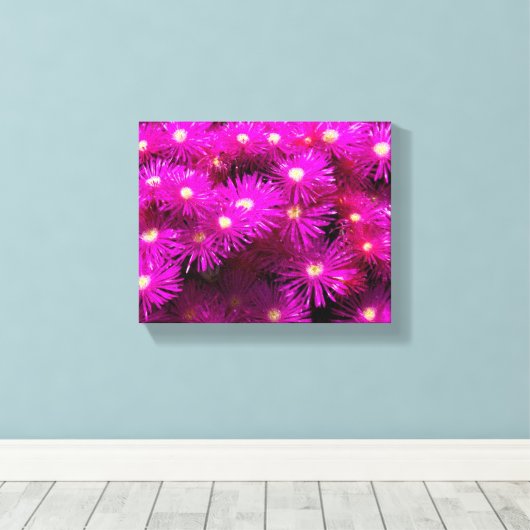 Pink-Aster-Blume Leinwanddruck (Insitu (Holzboden))