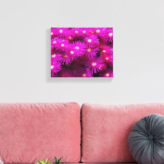Pink-Aster-Blume Leinwanddruck (Insitu (Wohnzimmer))