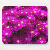 Pink-Aster-Blume Mousepad (Vorne)