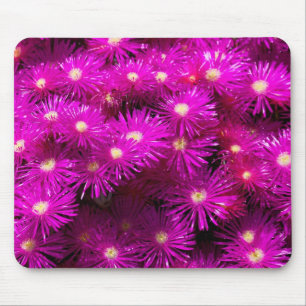 Pink-Aster-Blume Mousepad