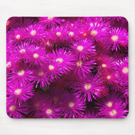 Pink-Aster-Blume Mousepad (Vorne)