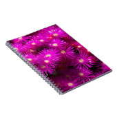 Pink-Aster-Blume Notizblock (Rechte Seite)